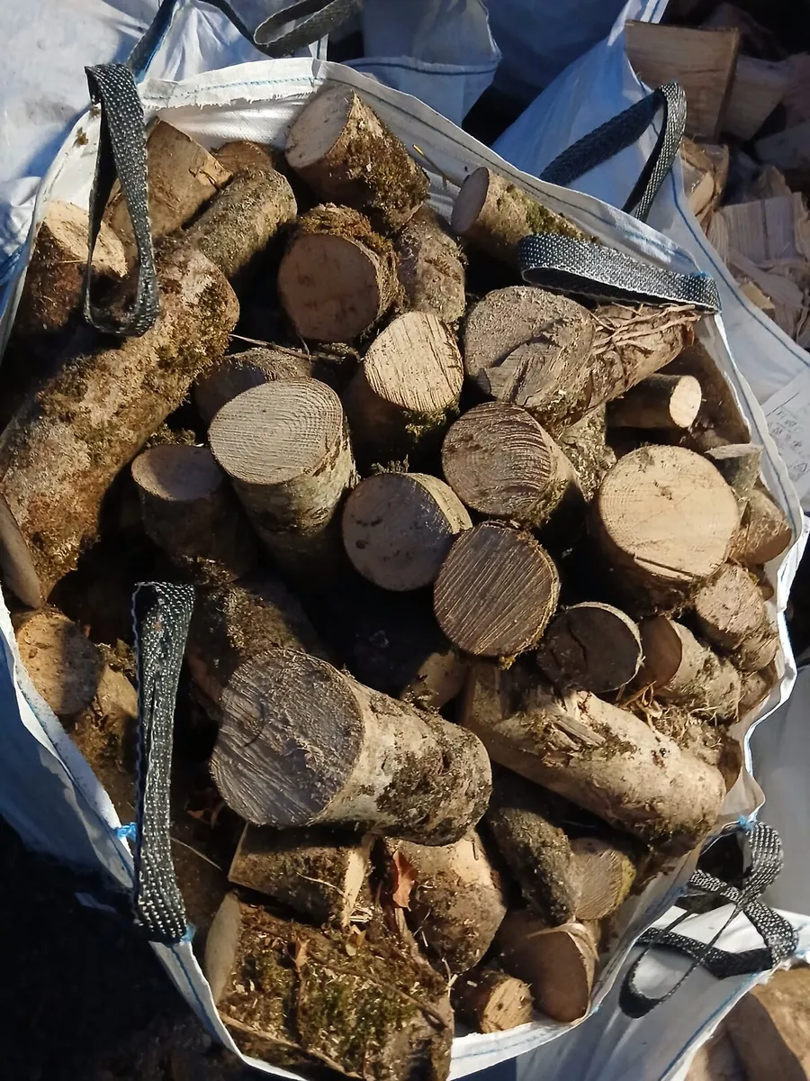 Ash firewood - Image 3
