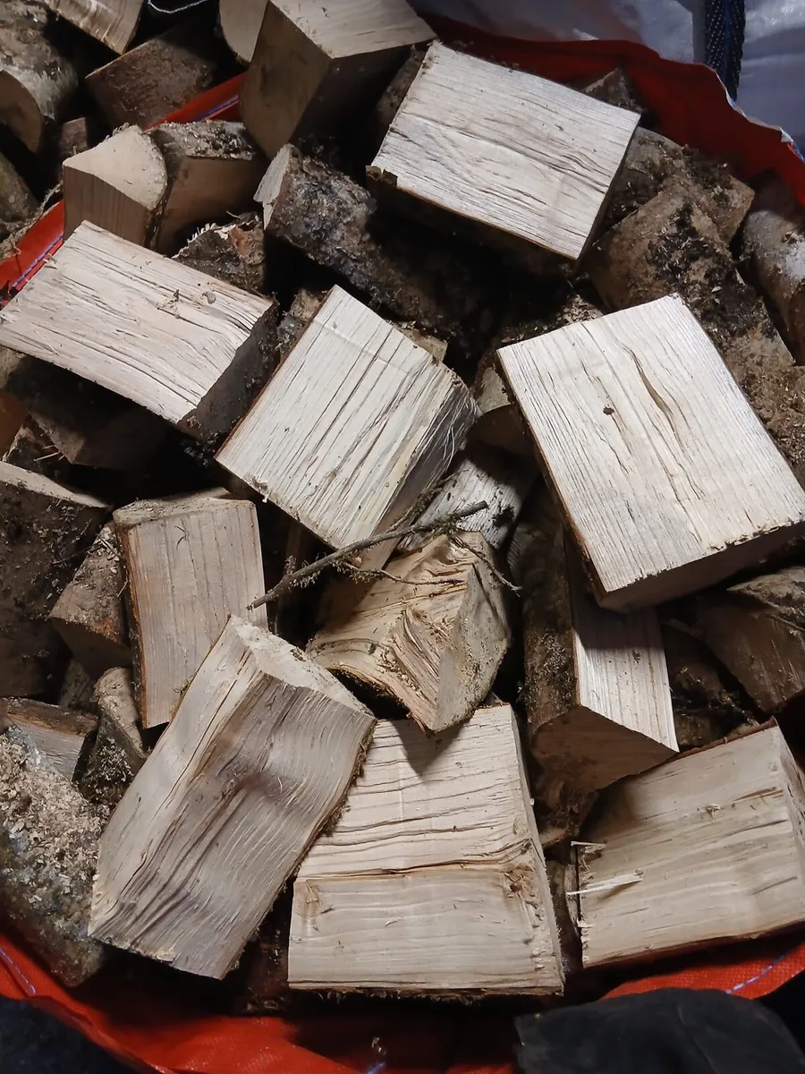 Ash firewood - Image 4