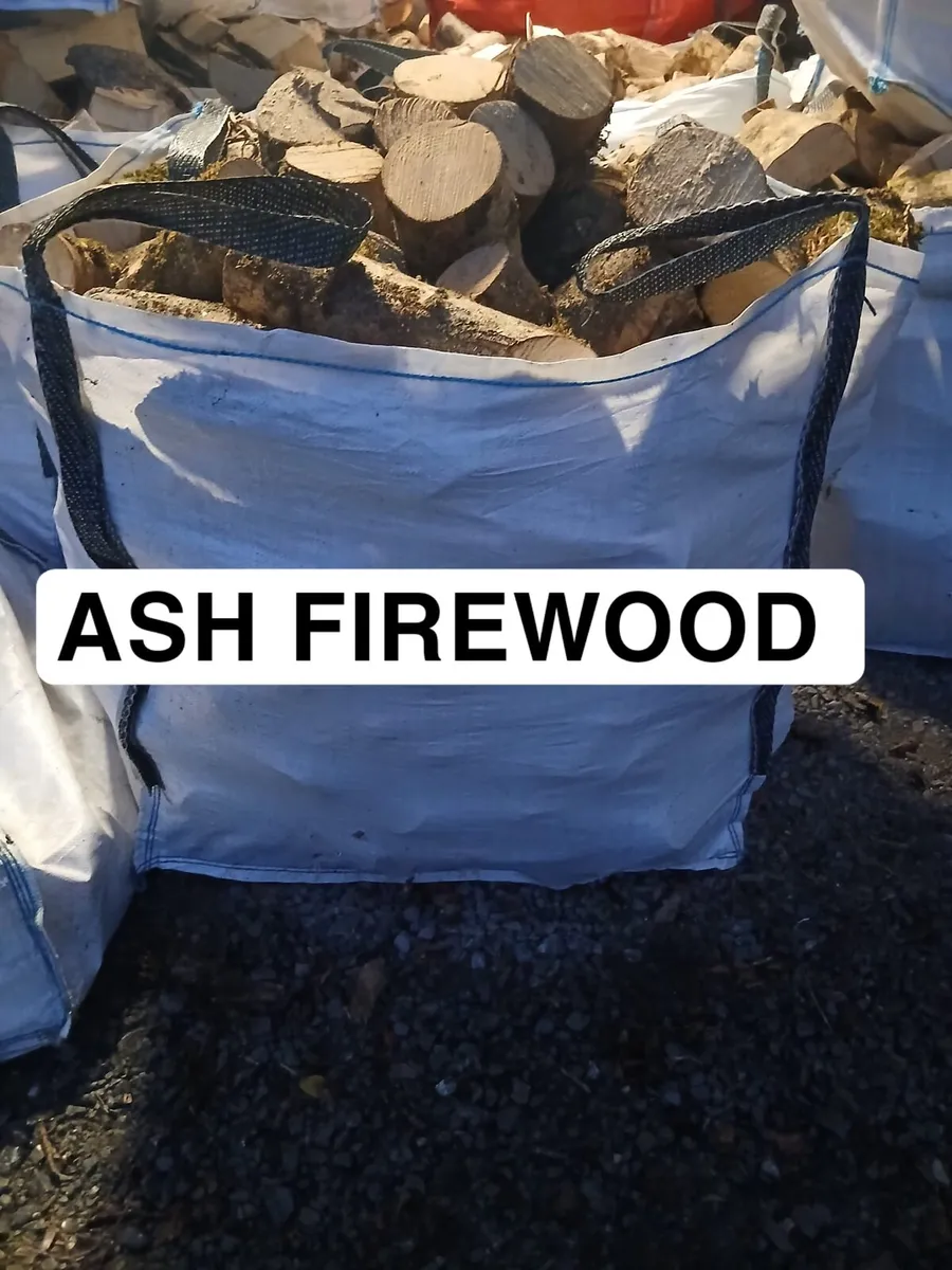 Ash firewood - Image 1