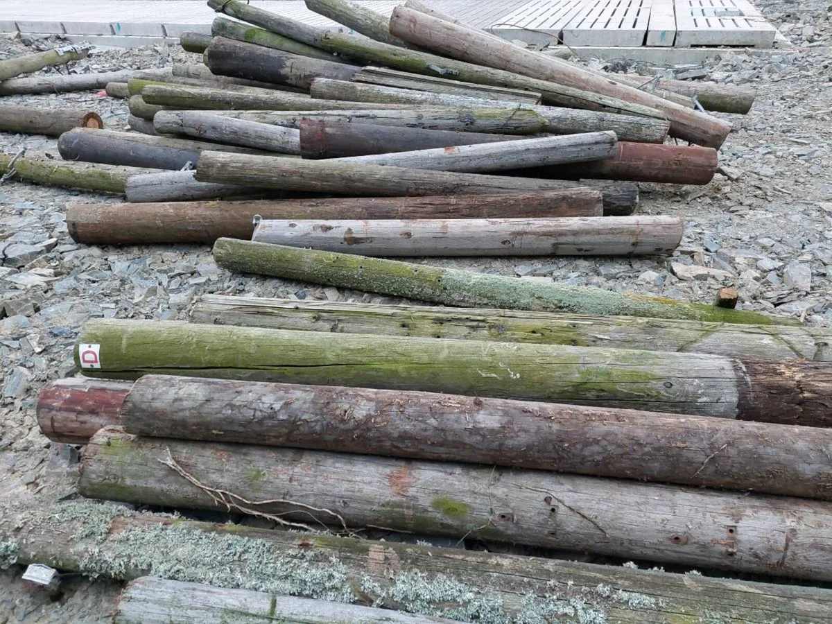 Gate posts heavy strainers - Image 1