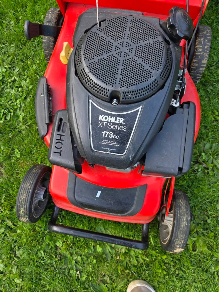 Weibang Lawnmower - Image 1