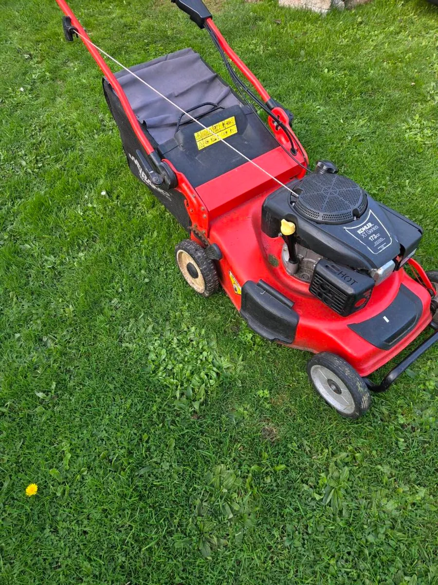Weibang Lawnmower - Image 2