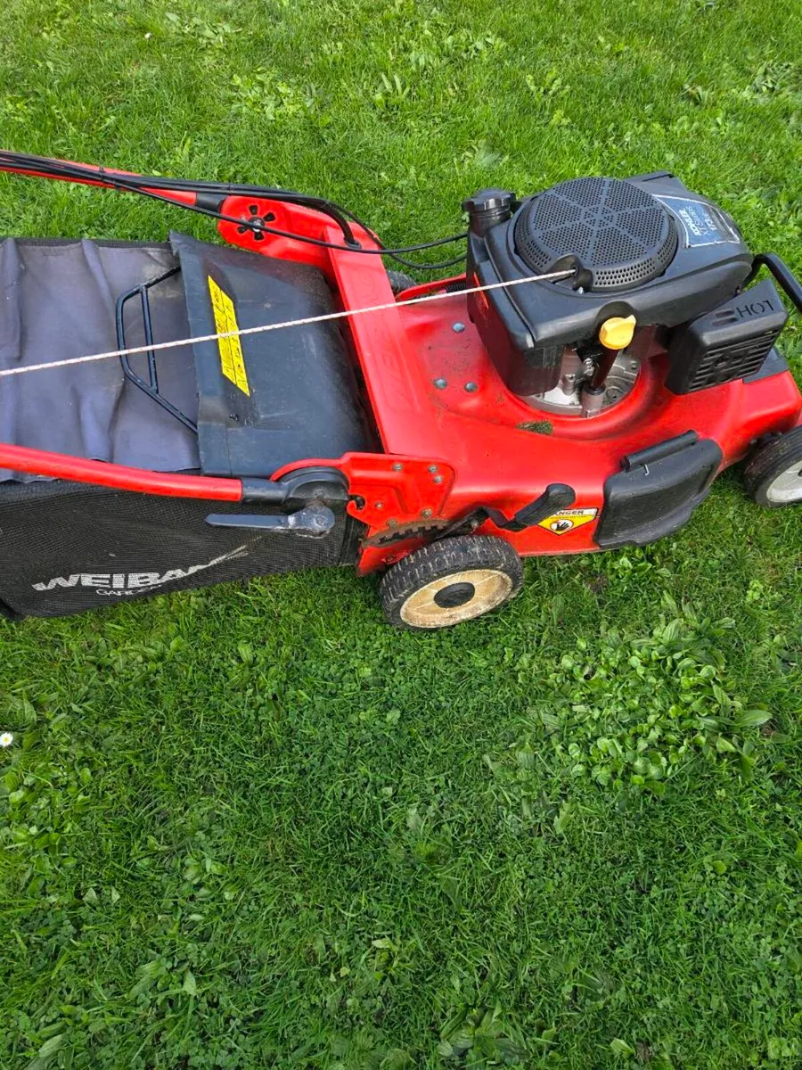 Weibang Lawnmower - Image 3