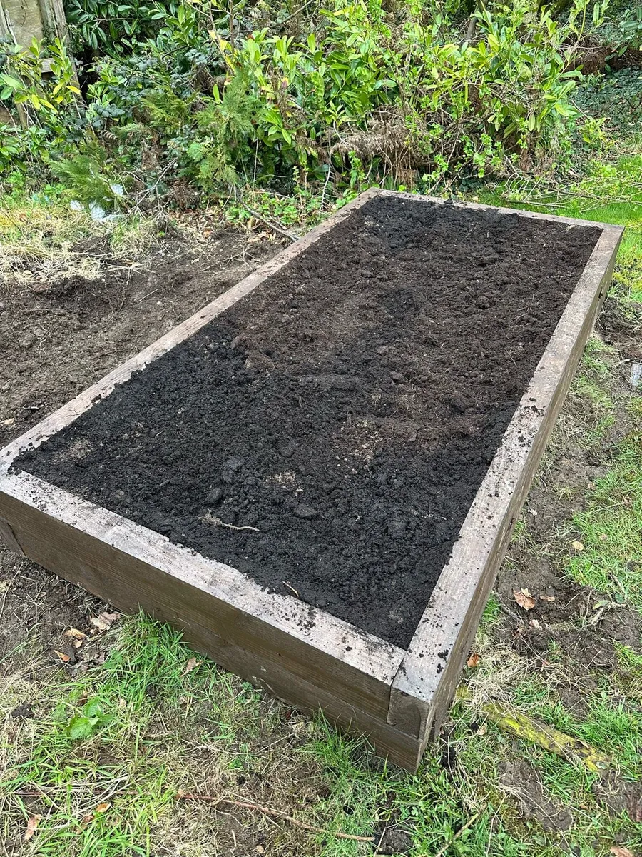 Raised beds - Image 2