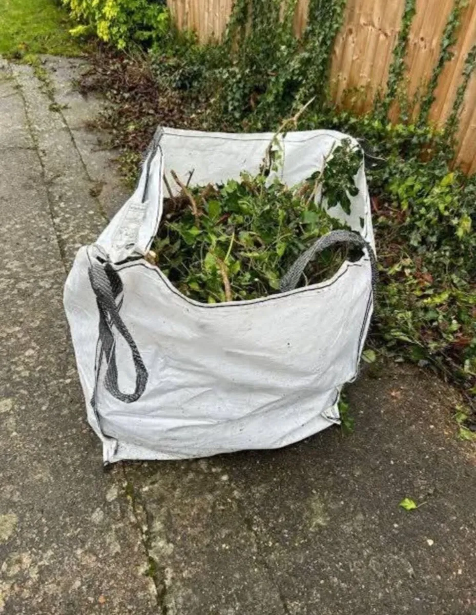 Rubbish removal - Image 4