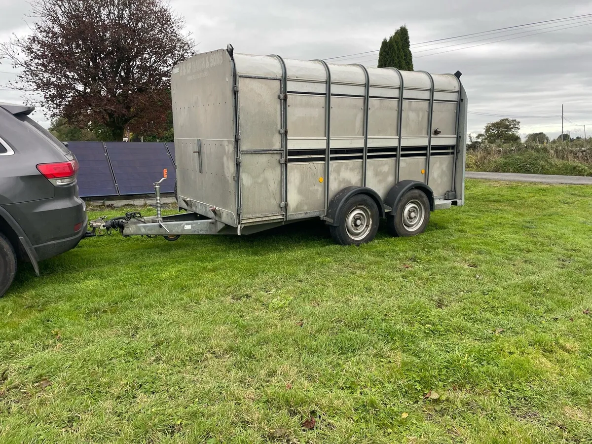 Cattle trailer - Image 2