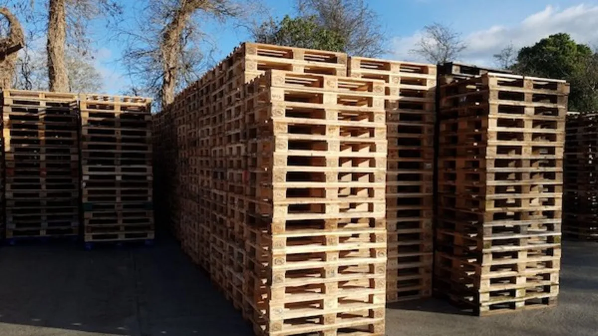 Pallets - Image 3