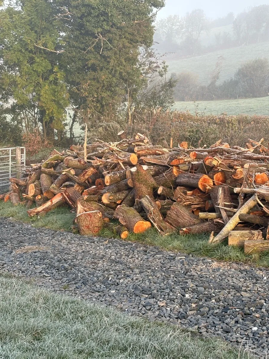 Fire wood for sale - Image 1