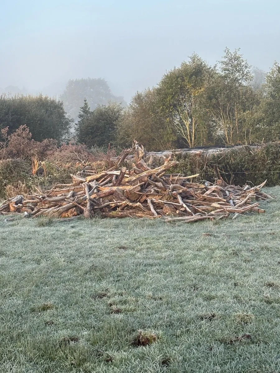 Fire wood for sale - Image 2