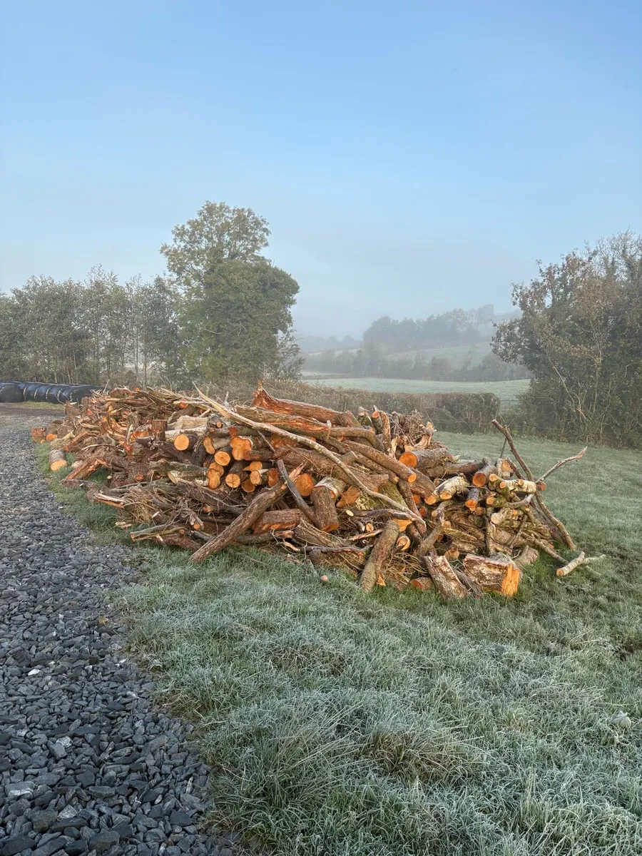 Fire wood for sale - Image 4