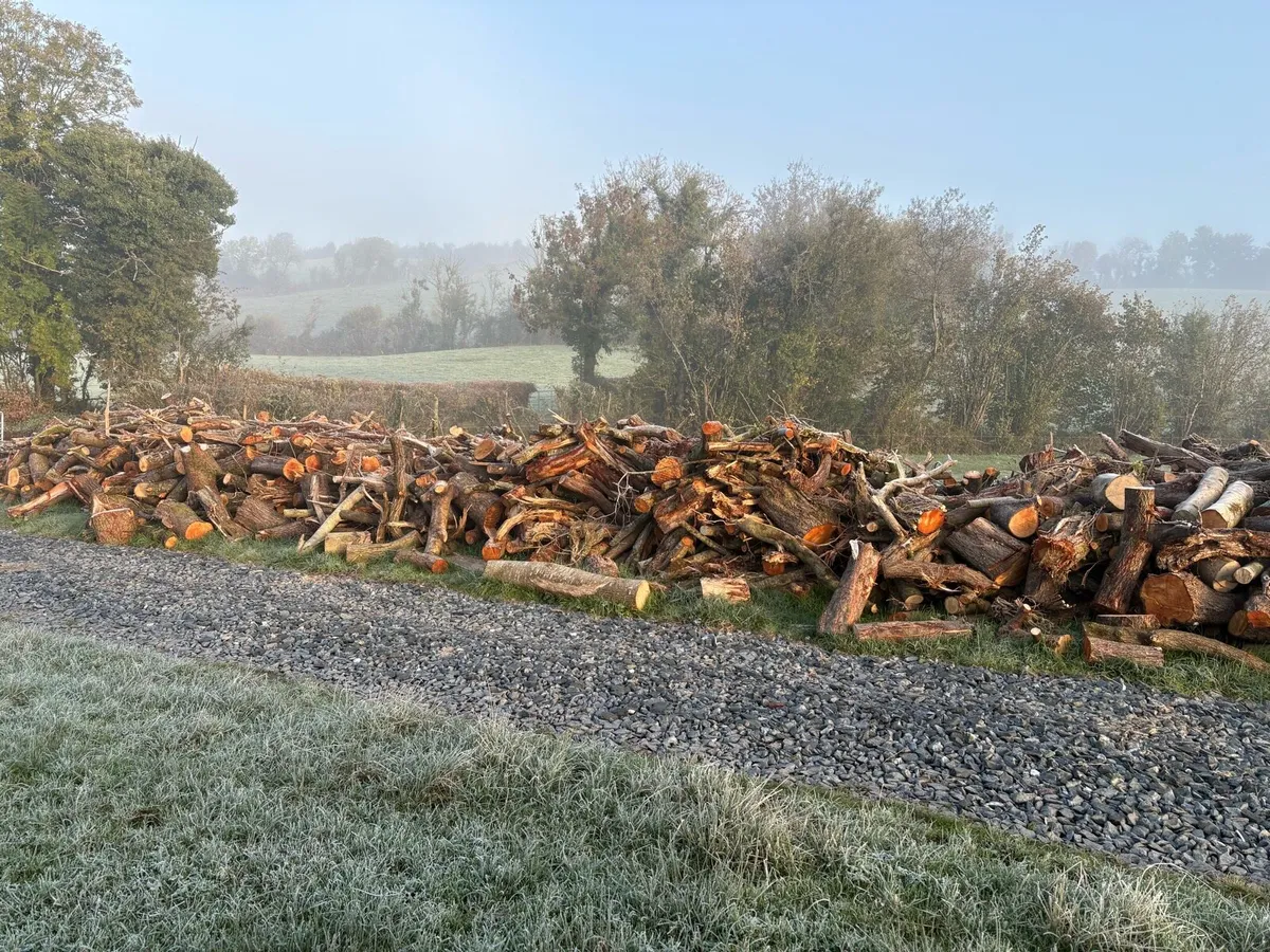 Fire wood for sale - Image 3