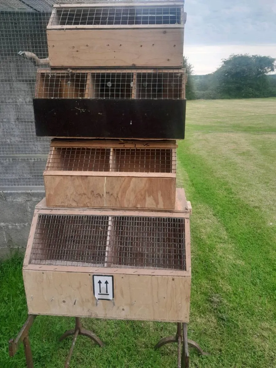 Bird travelling boxes - Image 2