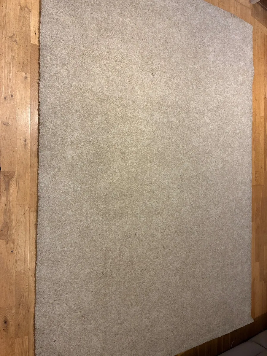 Carpet - Image 1