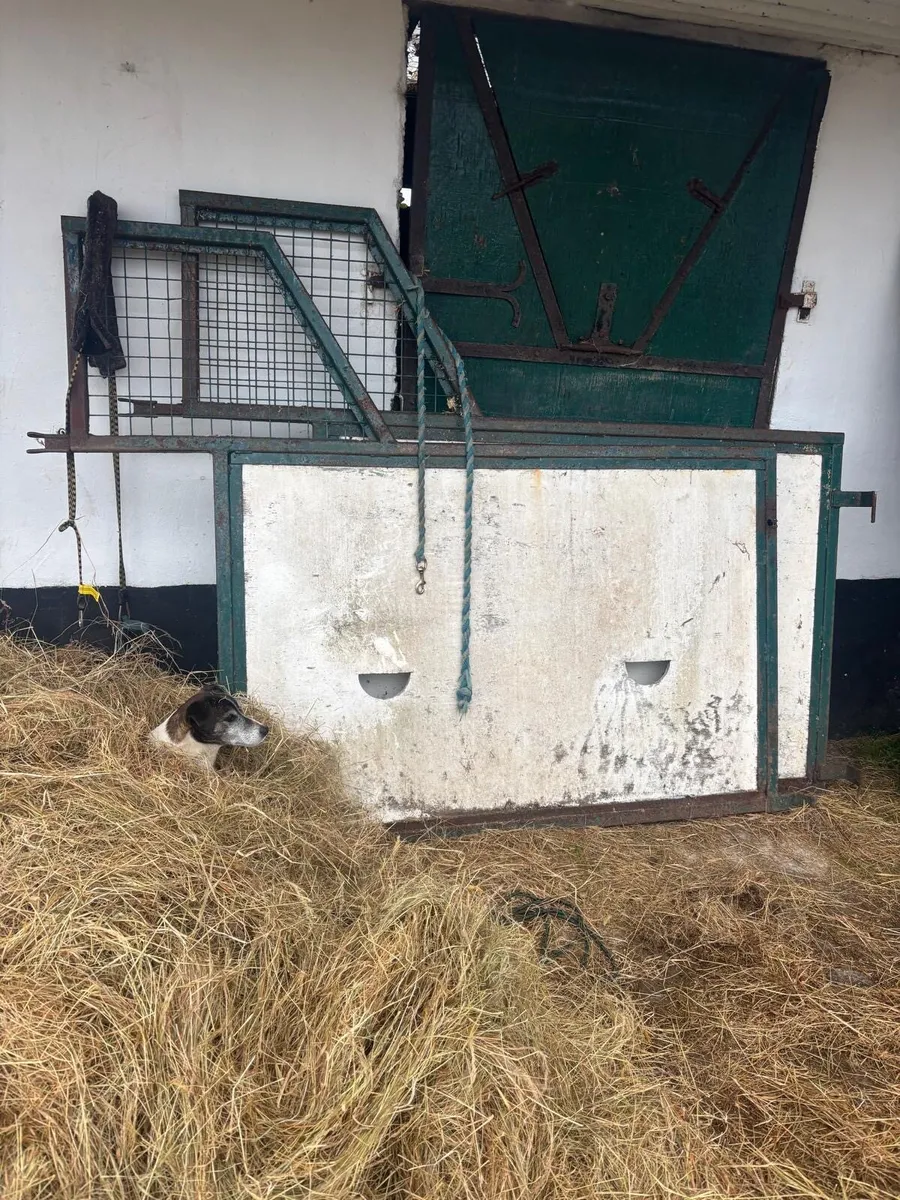Horse lorry separators