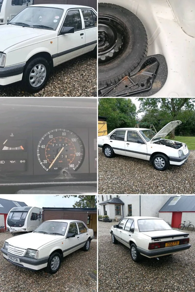 MK2 cavalier - Image 4