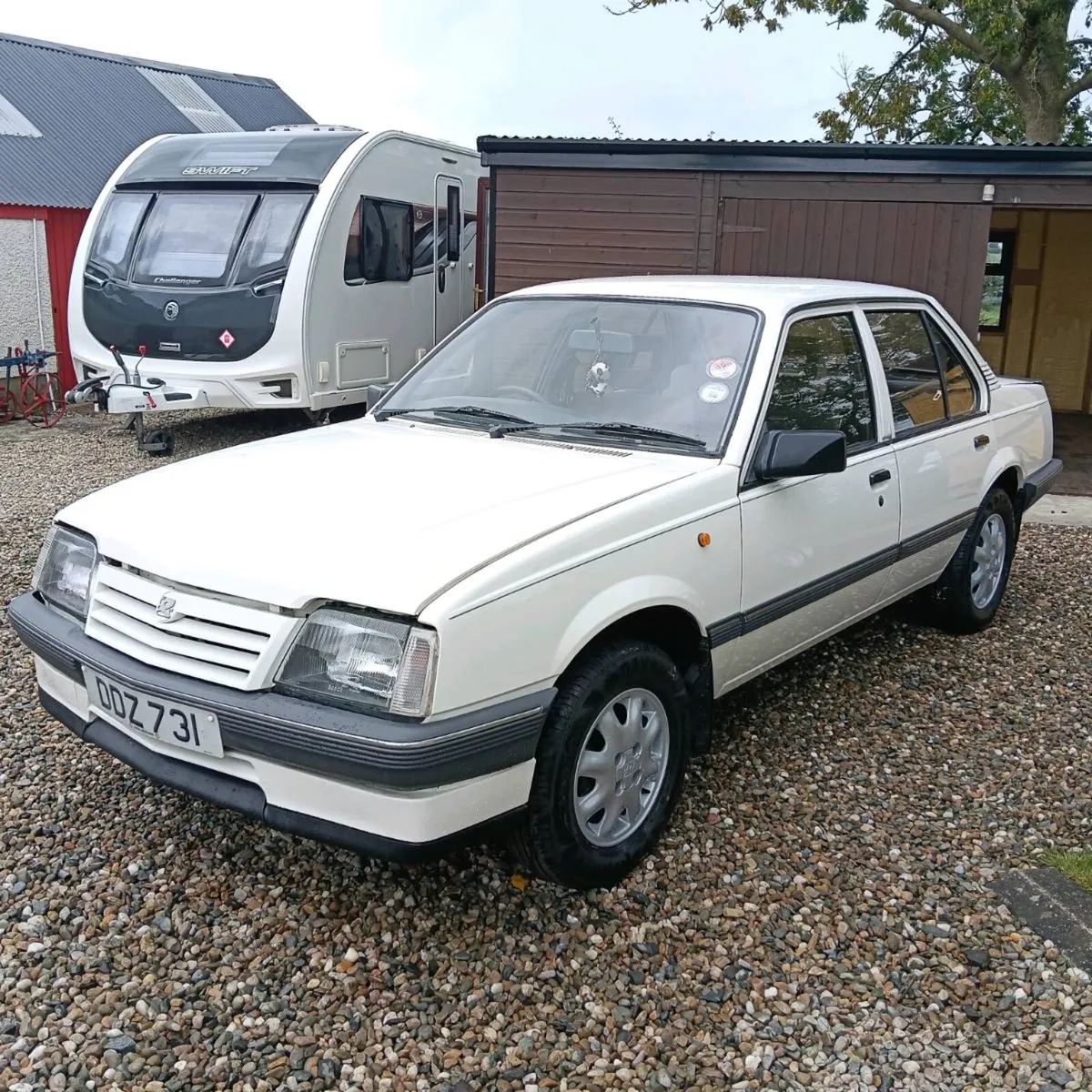 MK2 cavalier - Image 1
