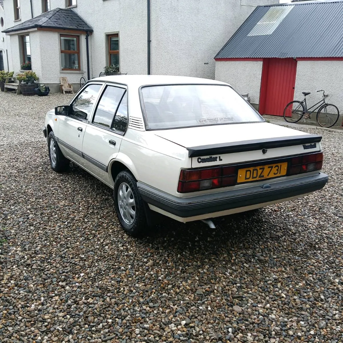 MK2 cavalier - Image 3
