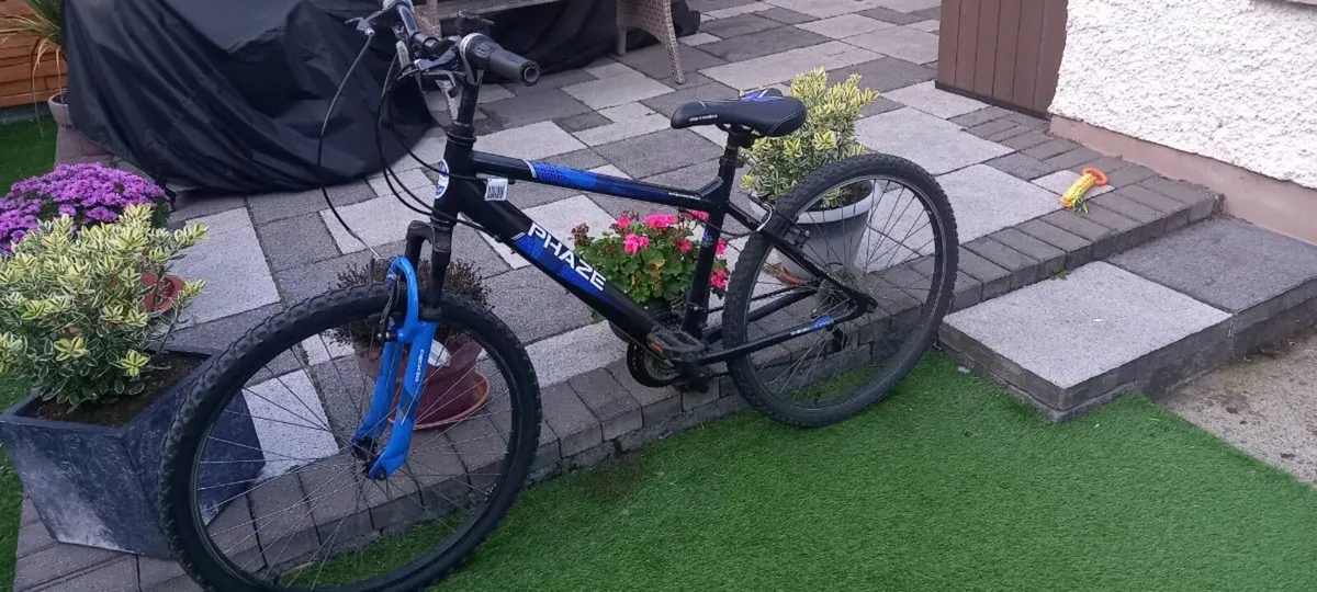 Bike - Image 1