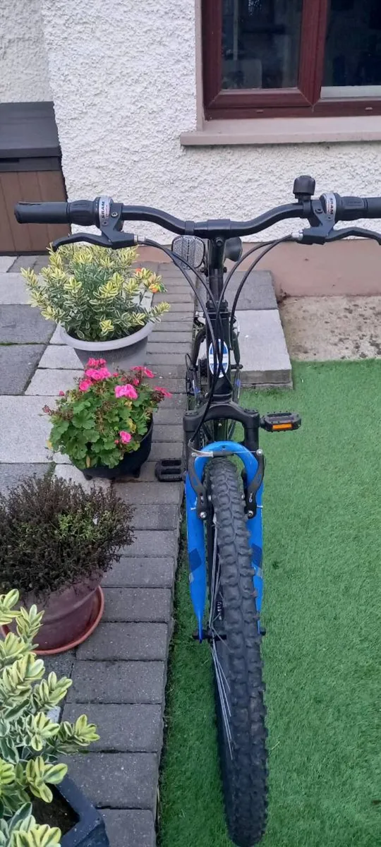 Bike - Image 3