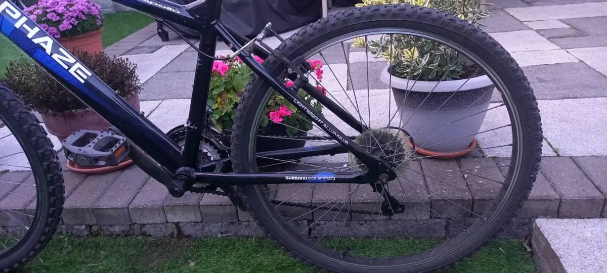 Bike - Image 4