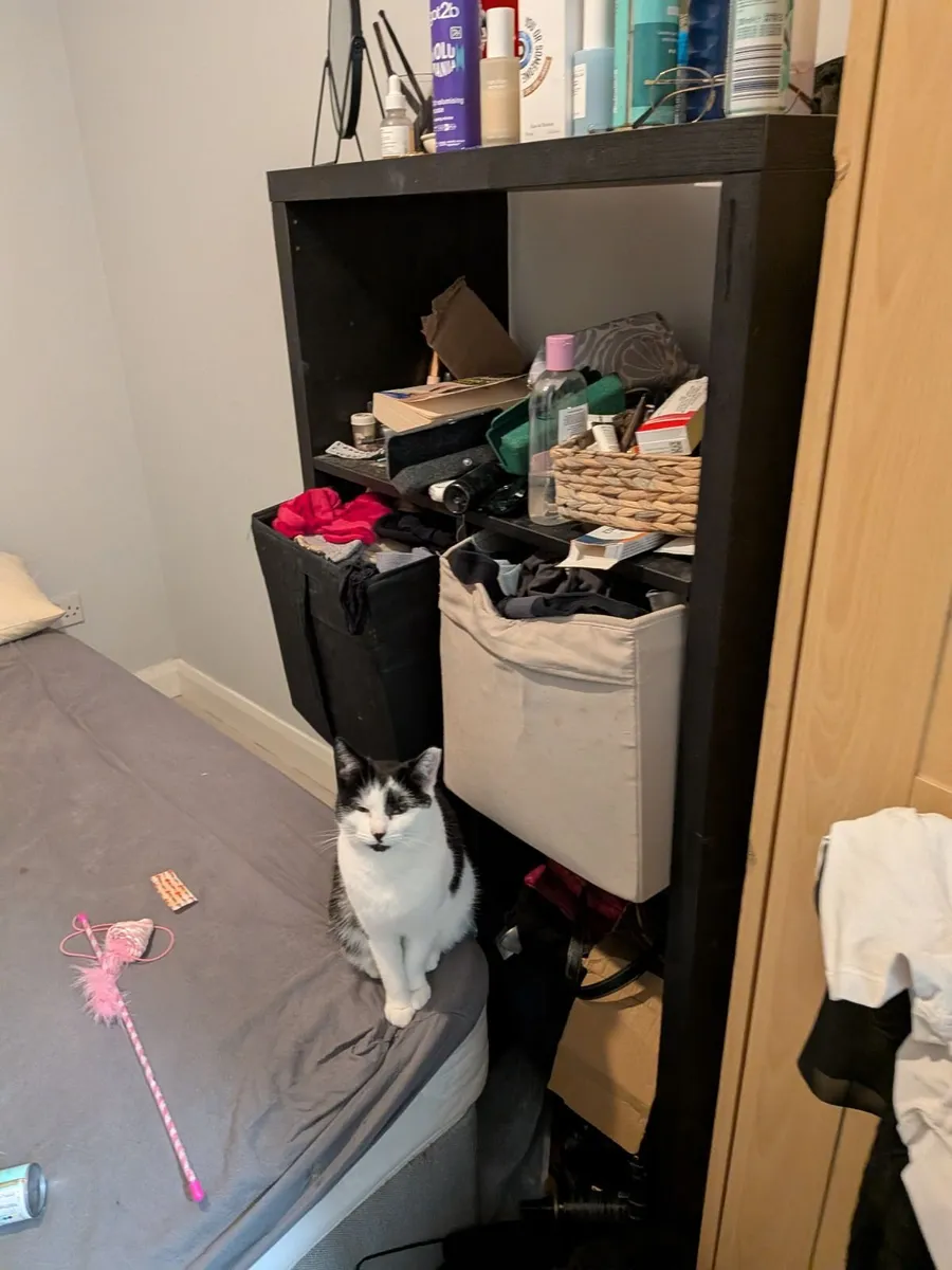 Ikea Kallax Shelves (FREE) - Image 1