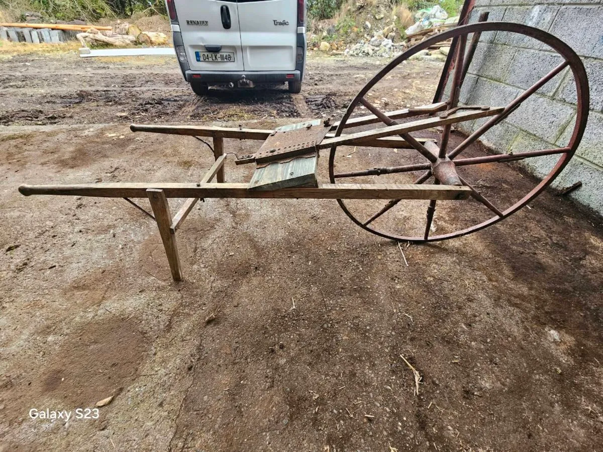 Grass seeder - Image 1