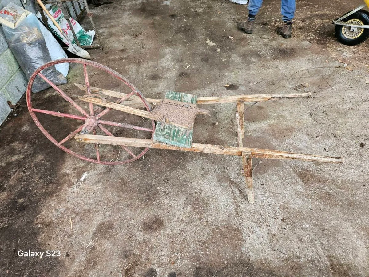 Grass seeder - Image 3