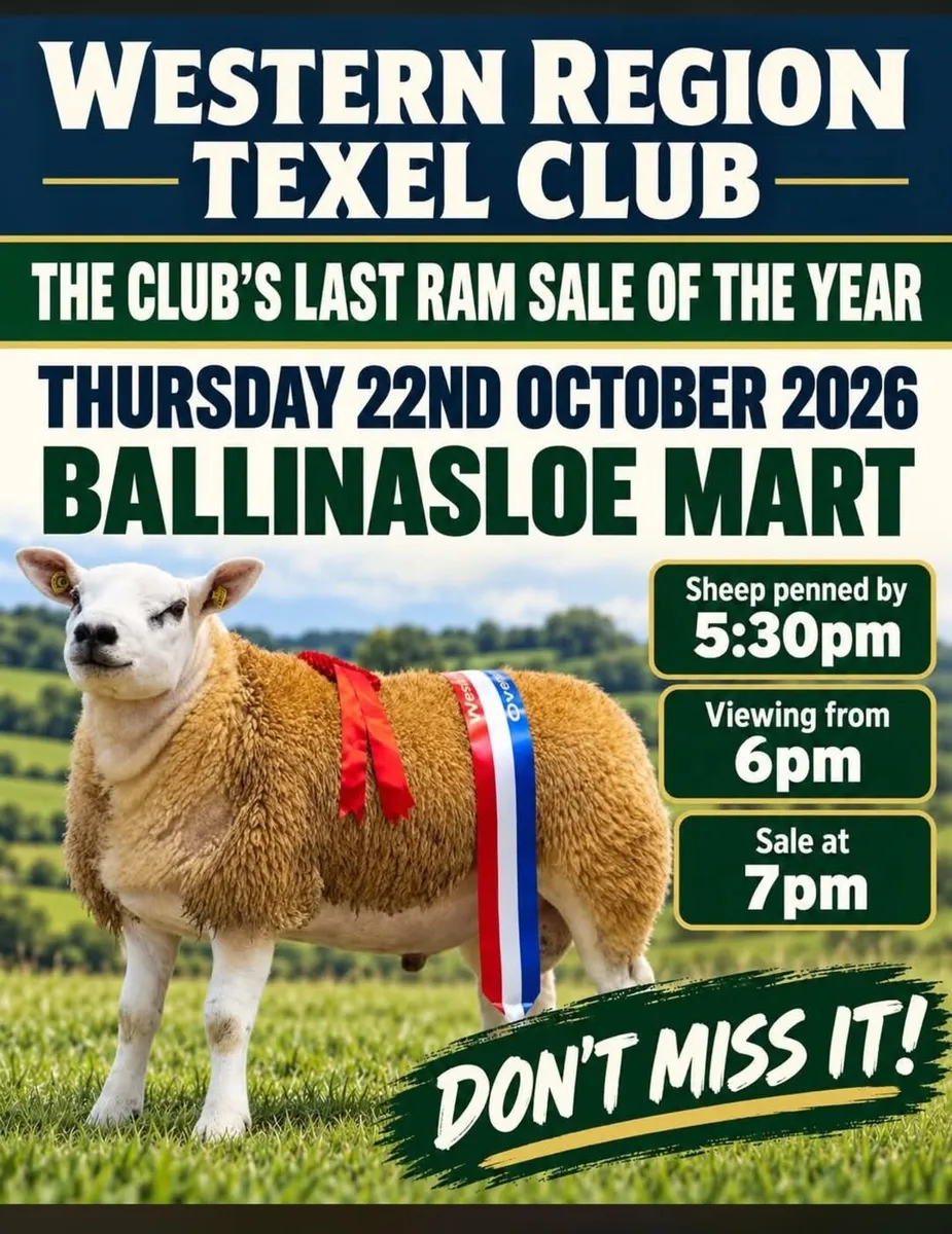 TEXEL RAMS