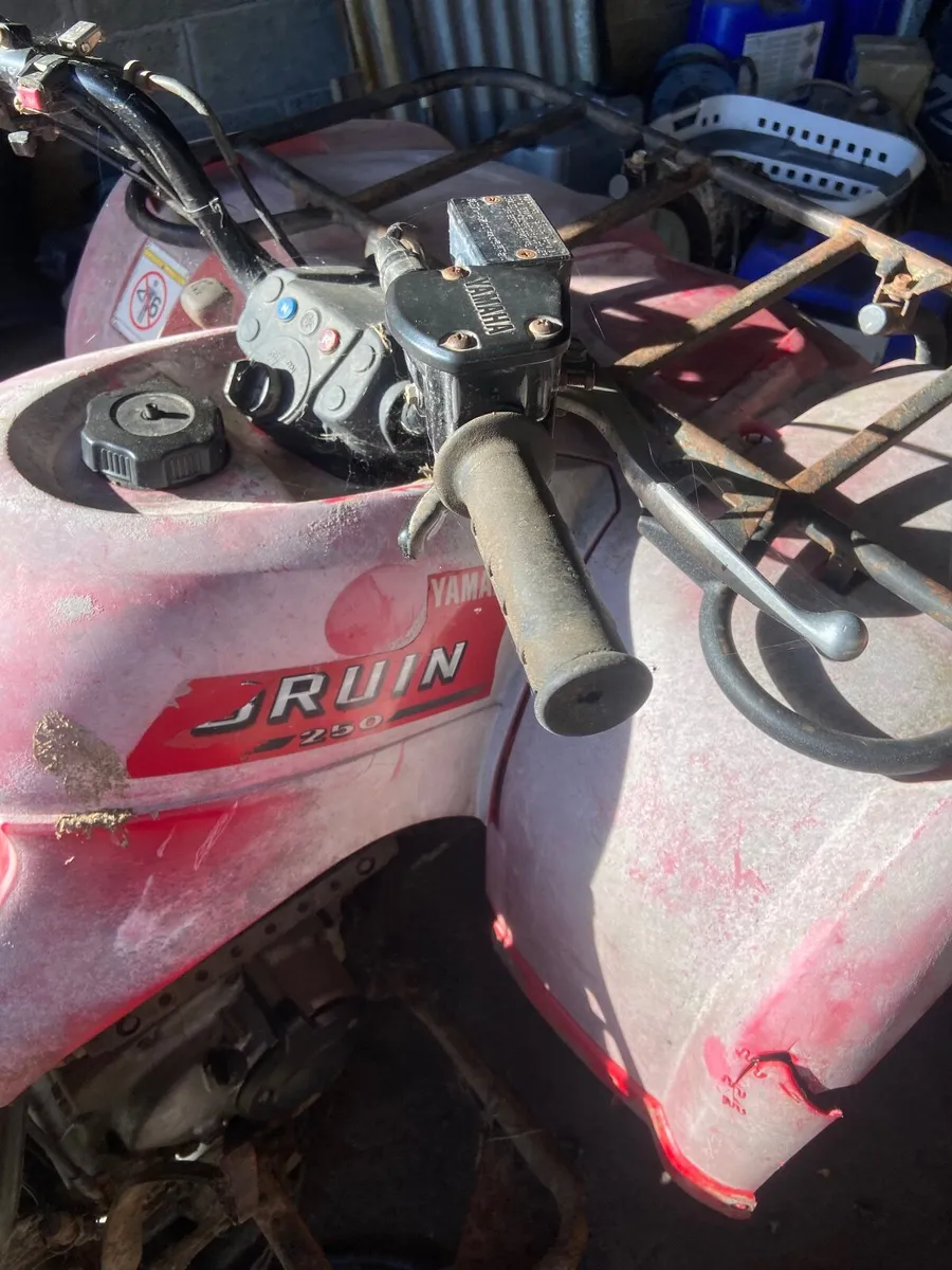 Yamaha bruin 250 - Image 1