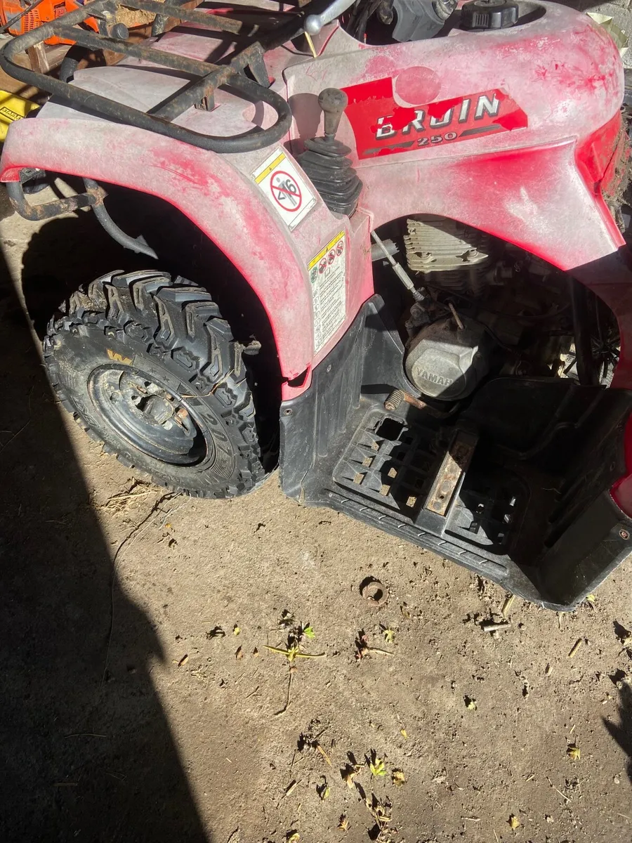 Yamaha bruin 250 - Image 3