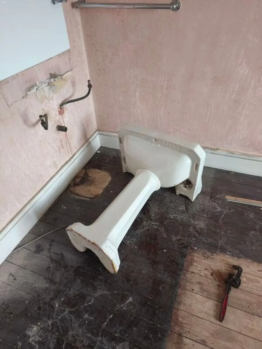 Vintage Pedestal Sinks - Image 3