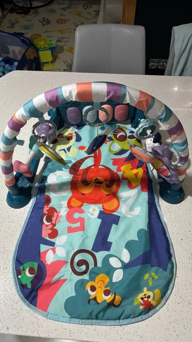Baby play matt and activity gym - Image 1