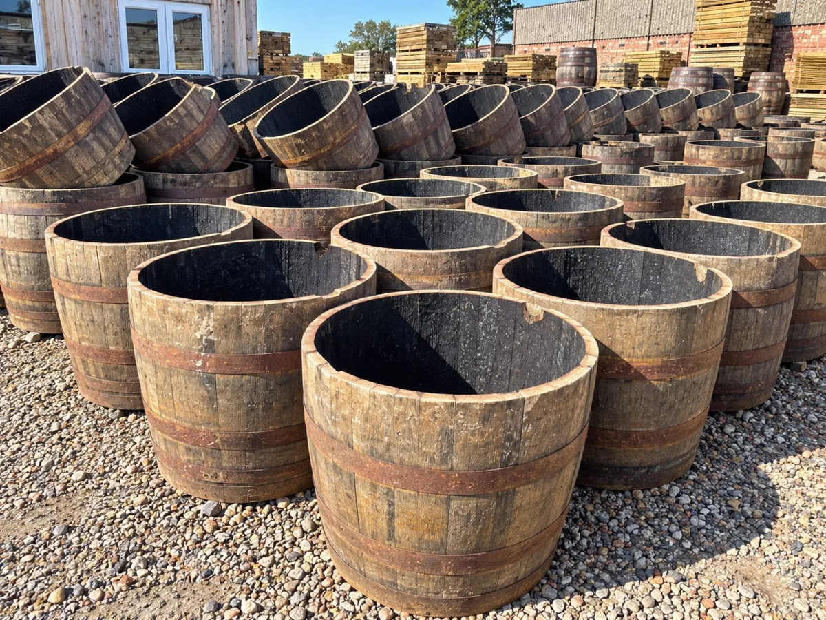 Solid Oak Half Whiskey Barrels – €35 Each - Image 1