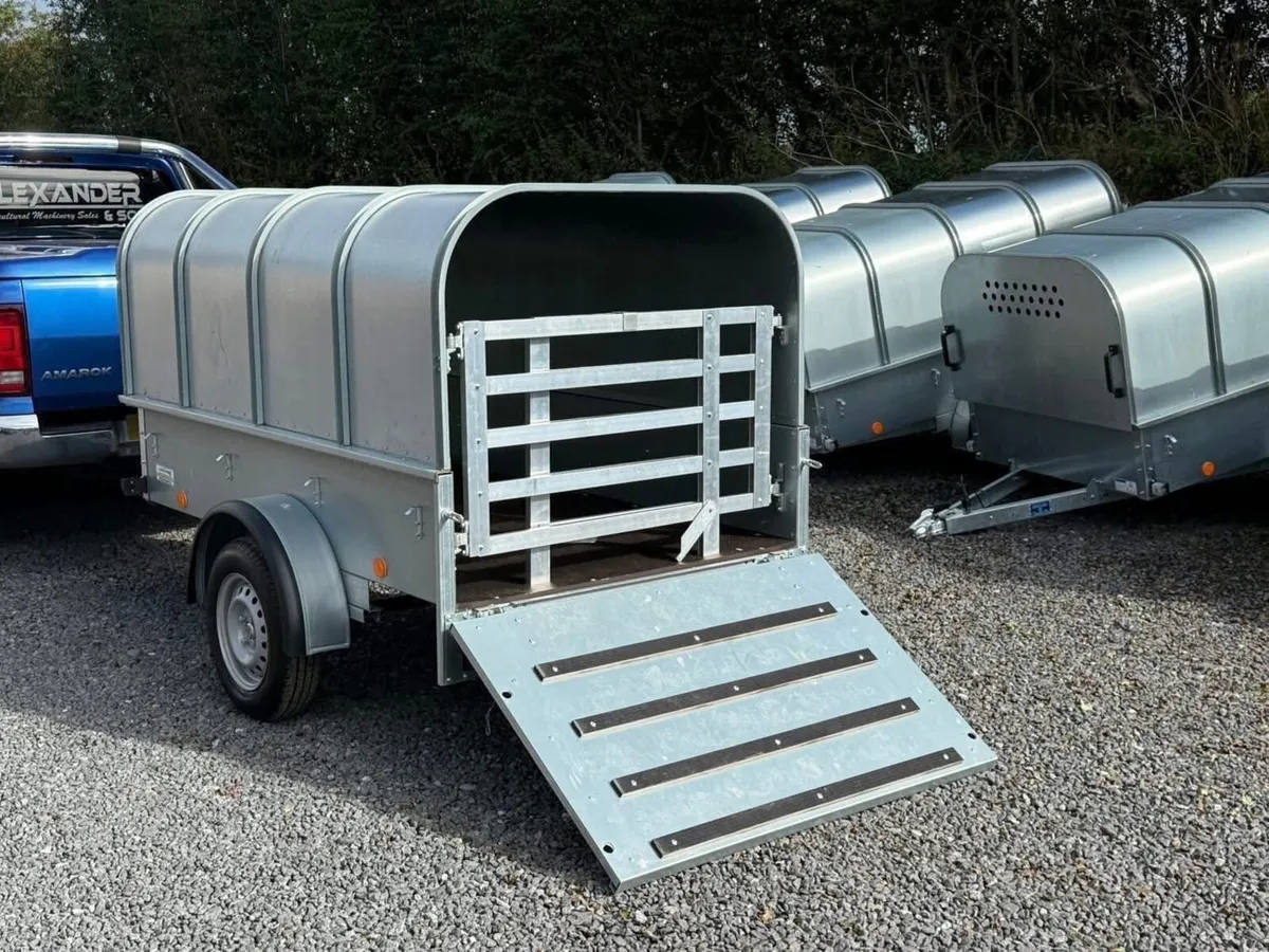 YOUNGSTOCK TRAILER 7x4 NEW - Image 4