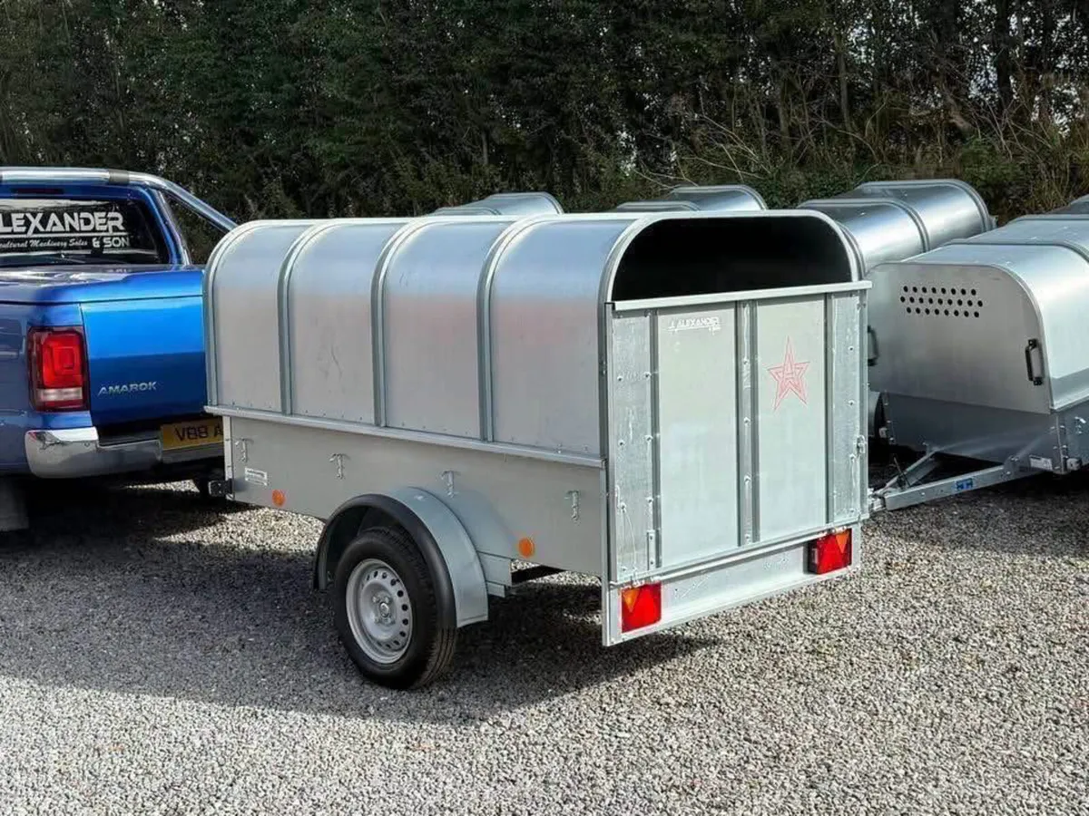 YOUNGSTOCK TRAILER 7x4 NEW - Image 3