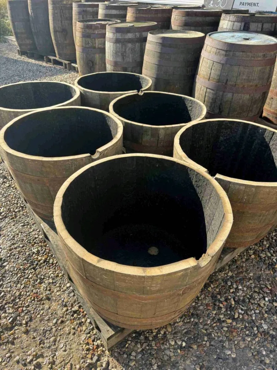 Solid Oak Half Whiskey Barrels – €35 Each - Image 2