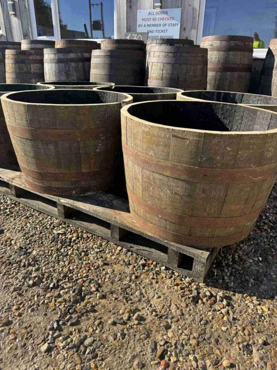 Solid Oak Half Whiskey Barrels – €35 Each - Image 3