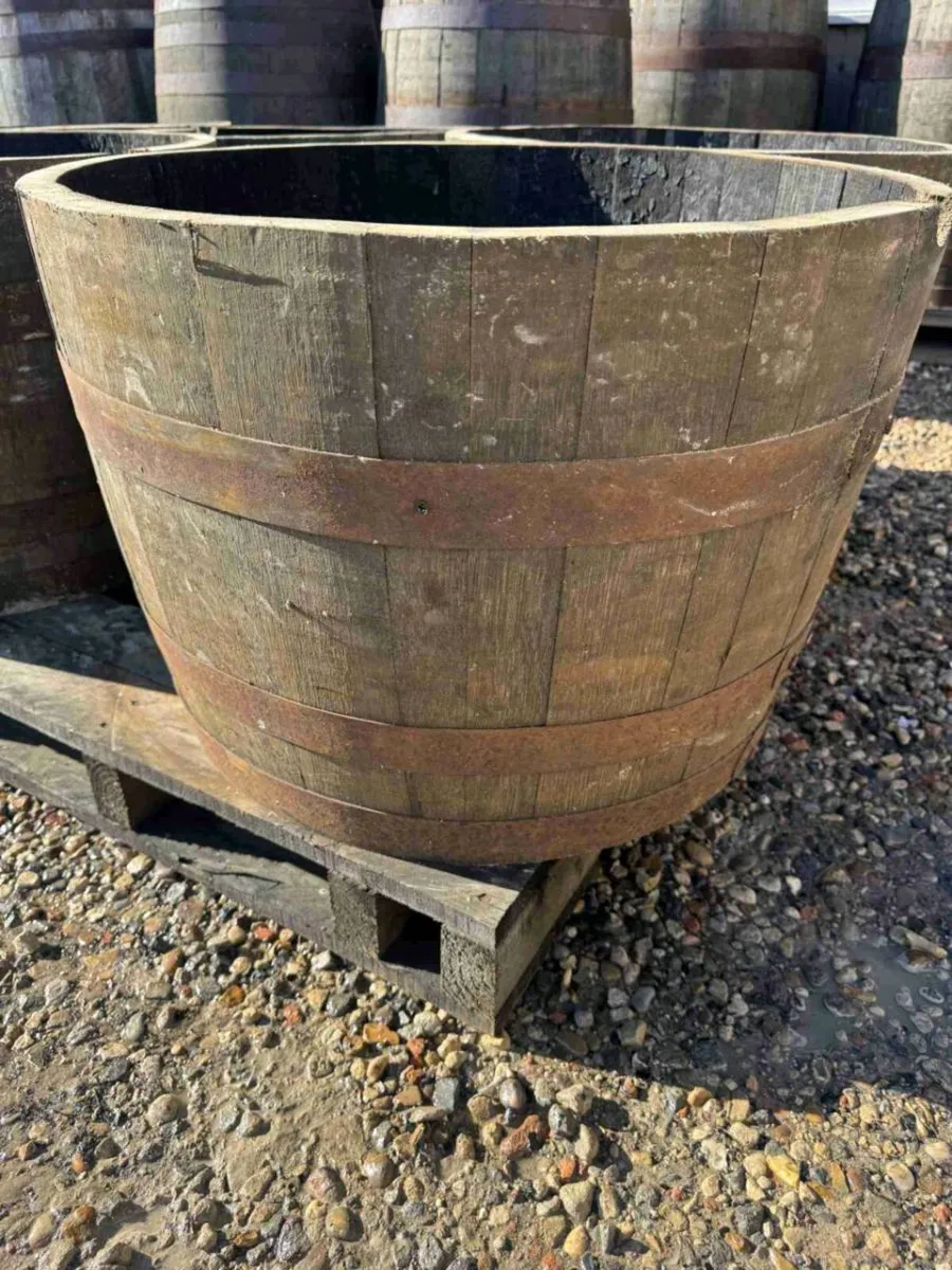 Solid Oak Half Whiskey Barrels – €35 Each

Genuine - Image 3
