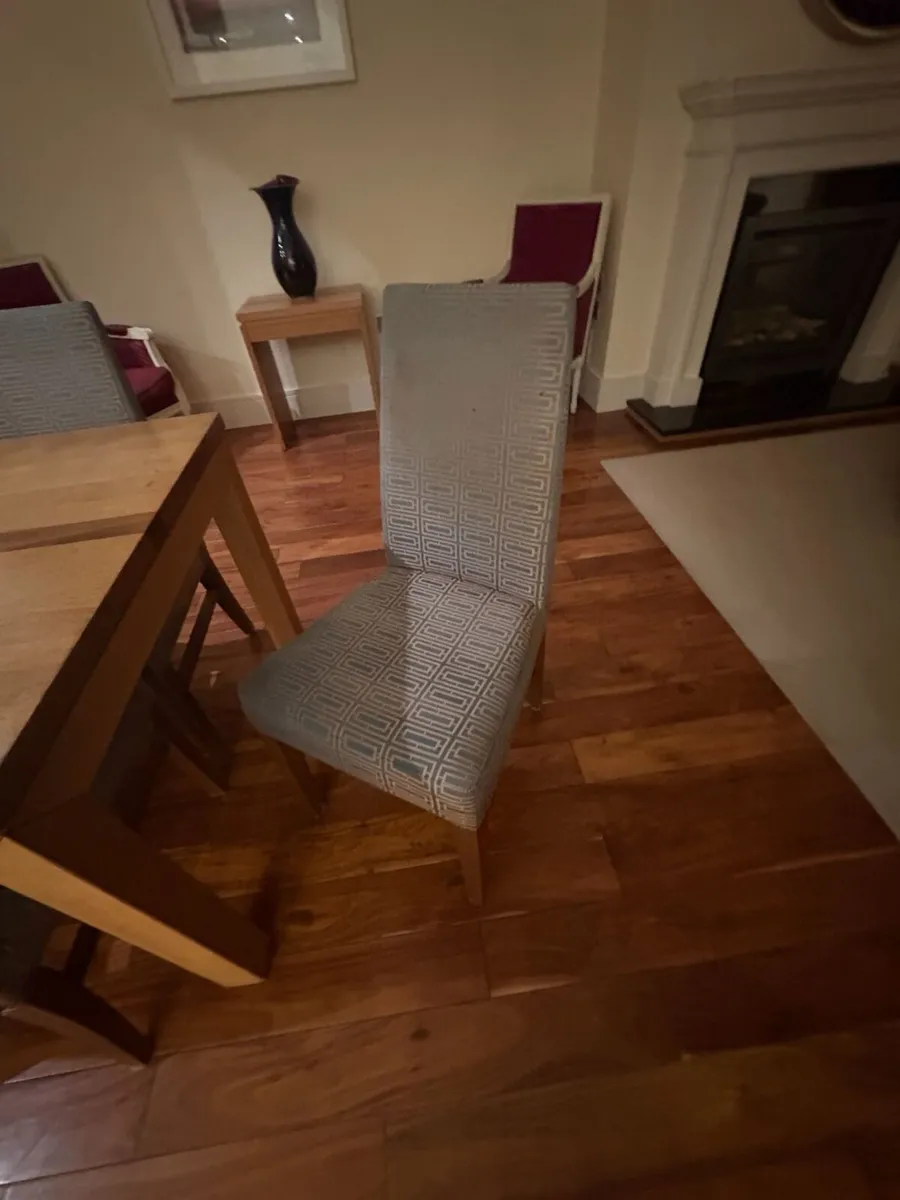 Dining room chairs - Image 1