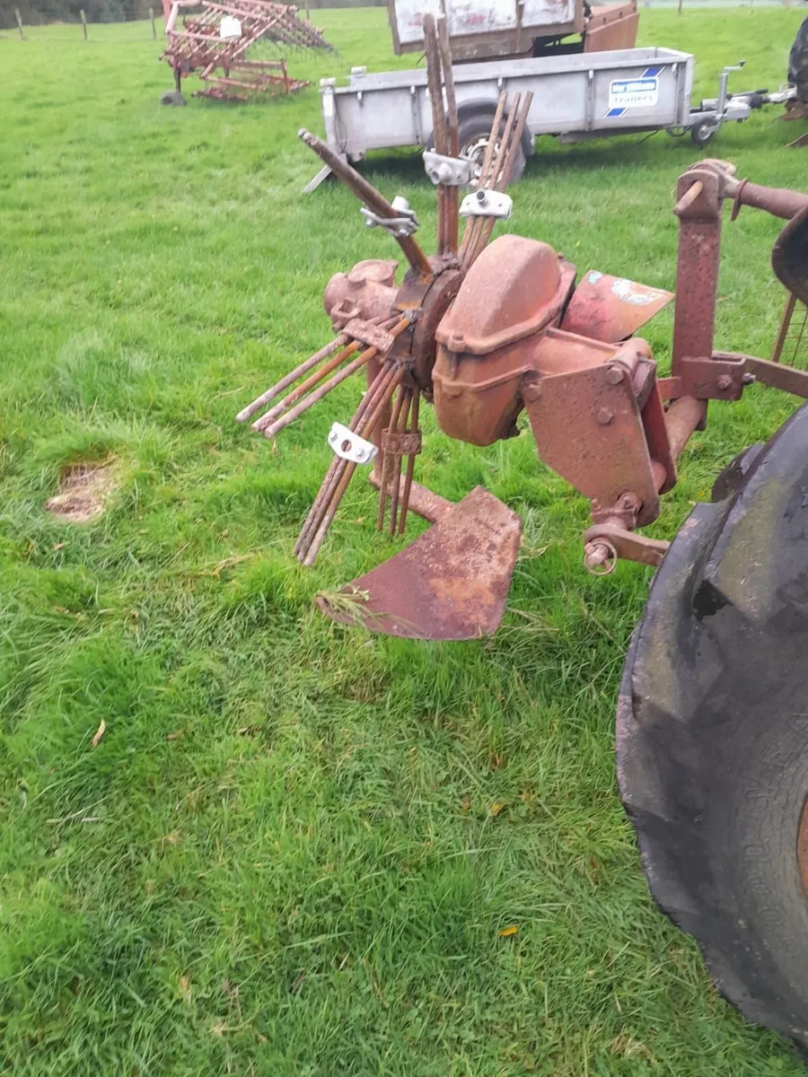 Potato Digger - Image 2