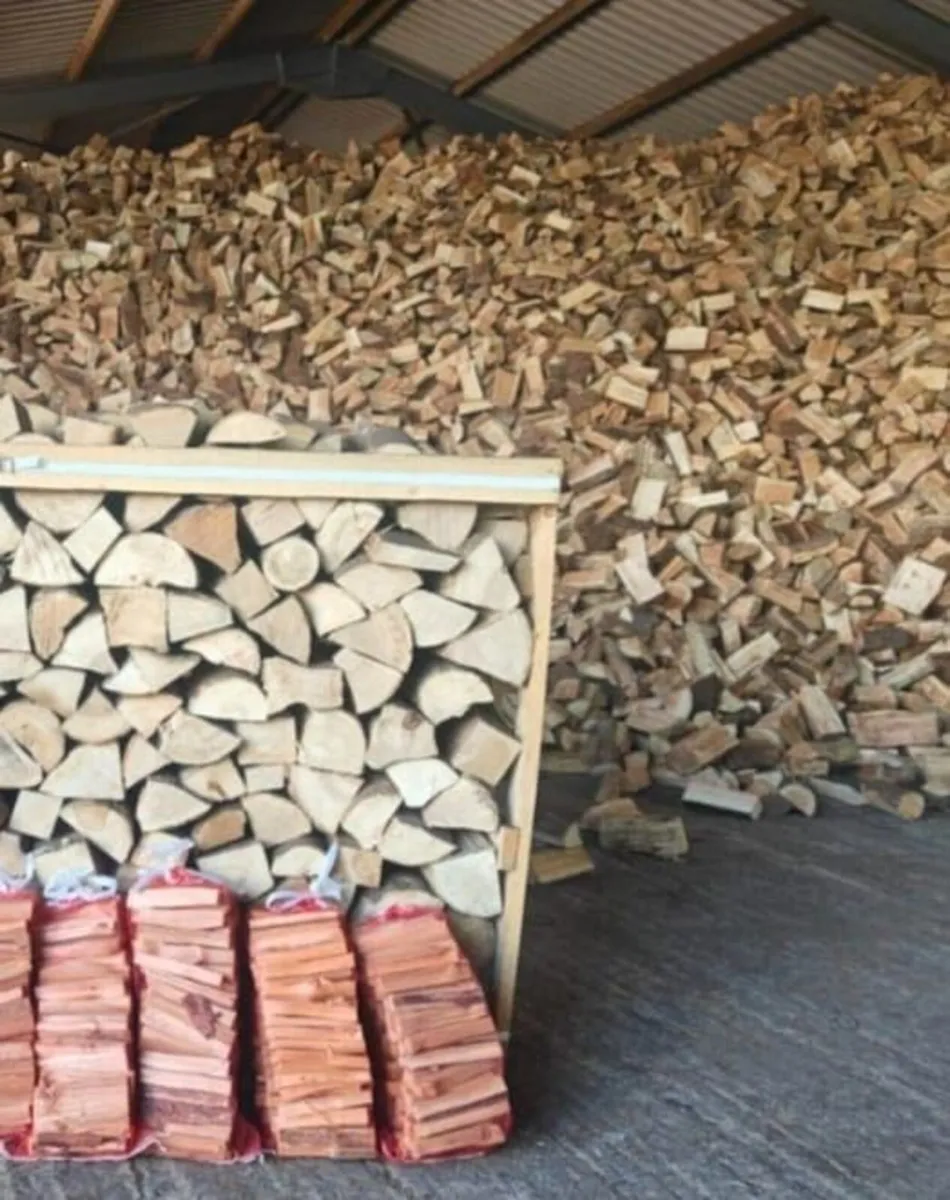 Logs and coal - Image 1