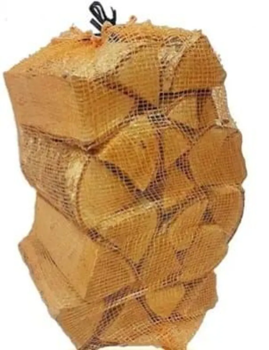Logs and coal - Image 3