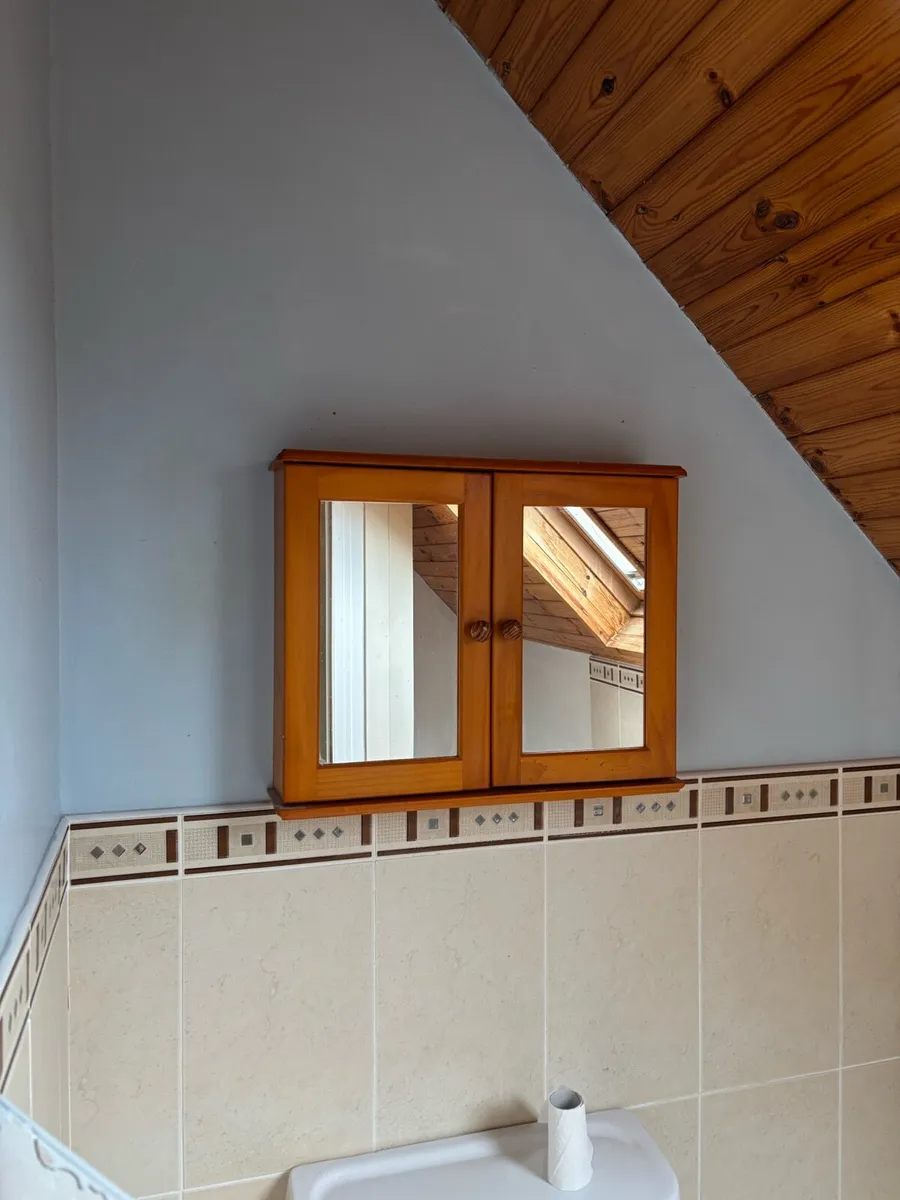 Bathroom Wall Unit - Image 1