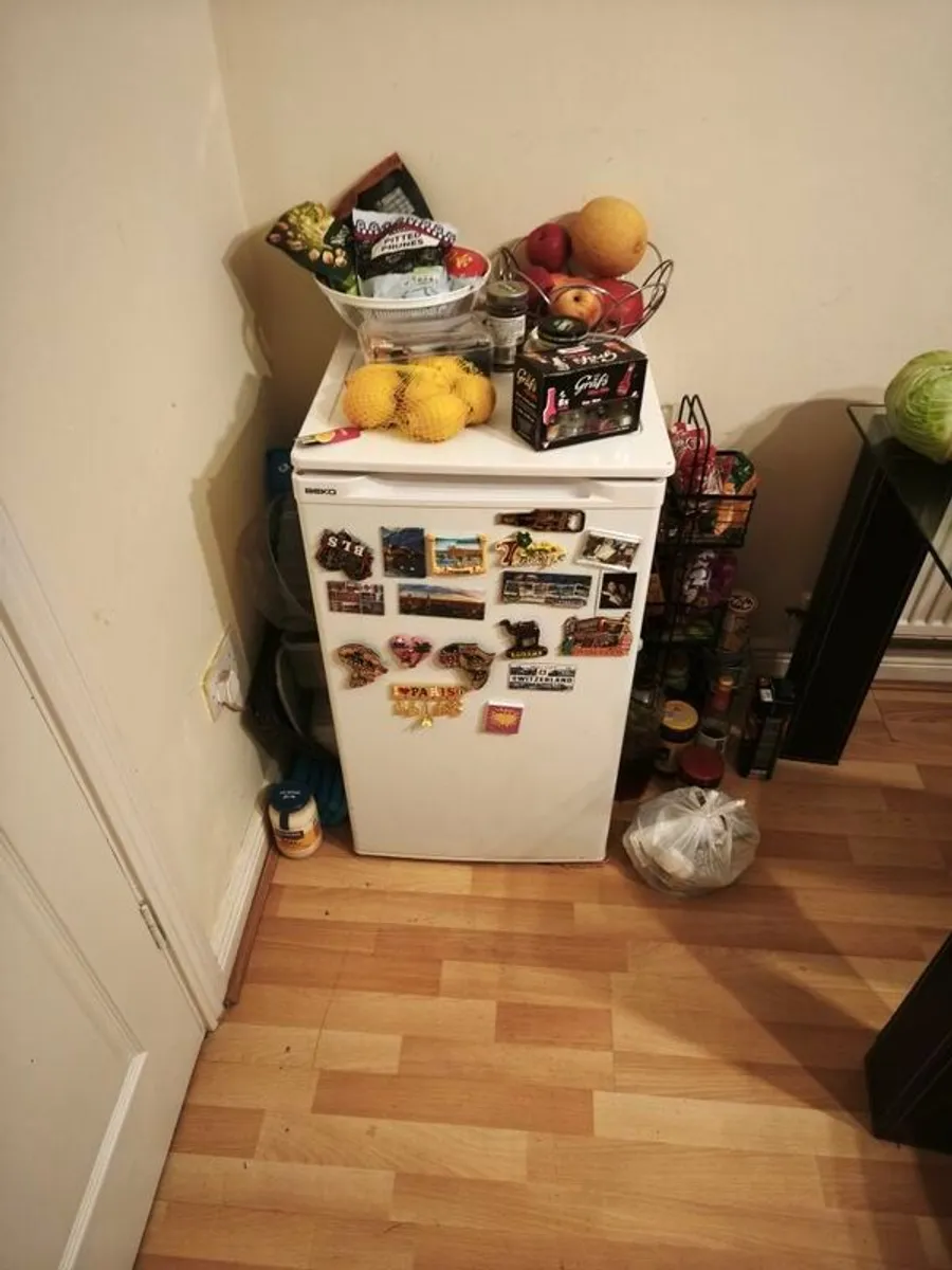 Fridge - Image 1