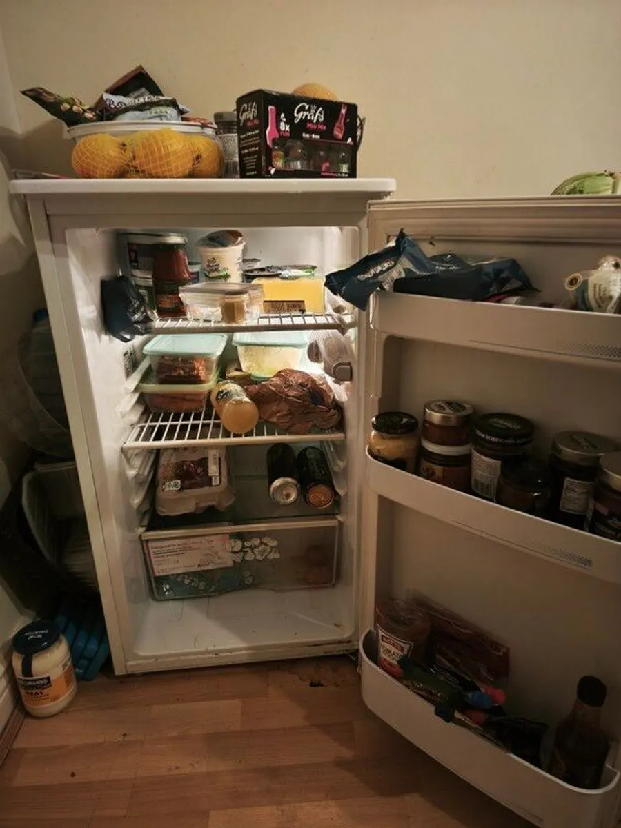 Fridge - Image 2