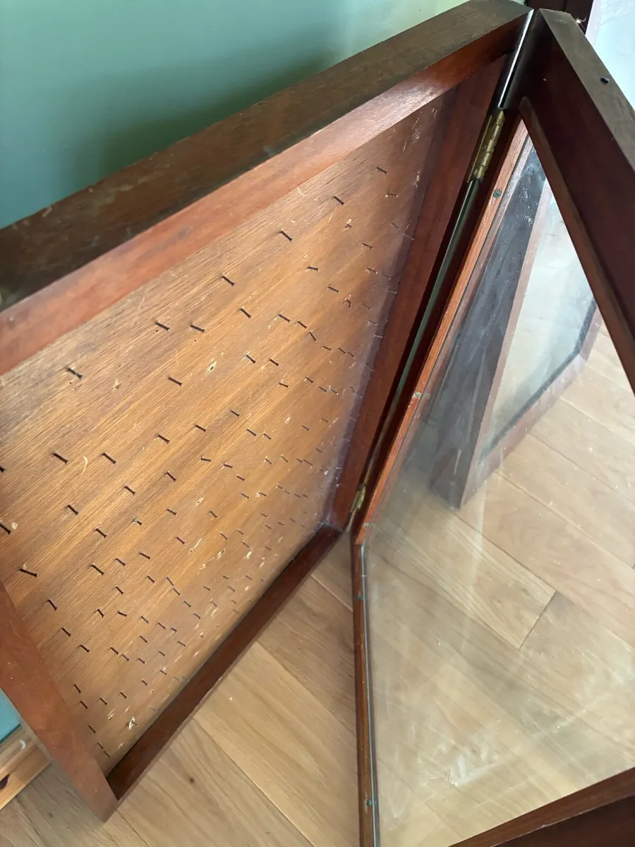 Display cabinets - Image 4