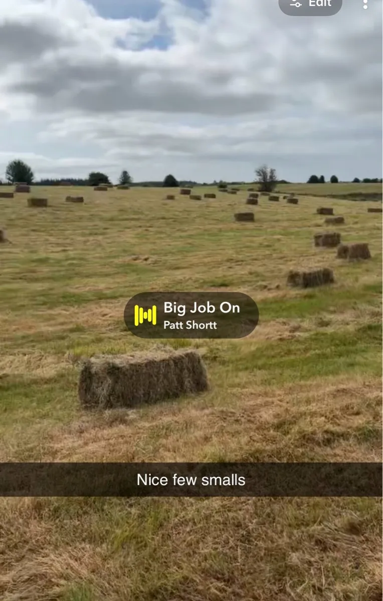 Haylage and small square hay bales - Image 4