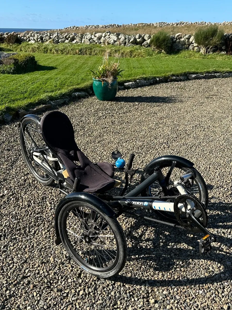 Recumbent trike. - Image 1