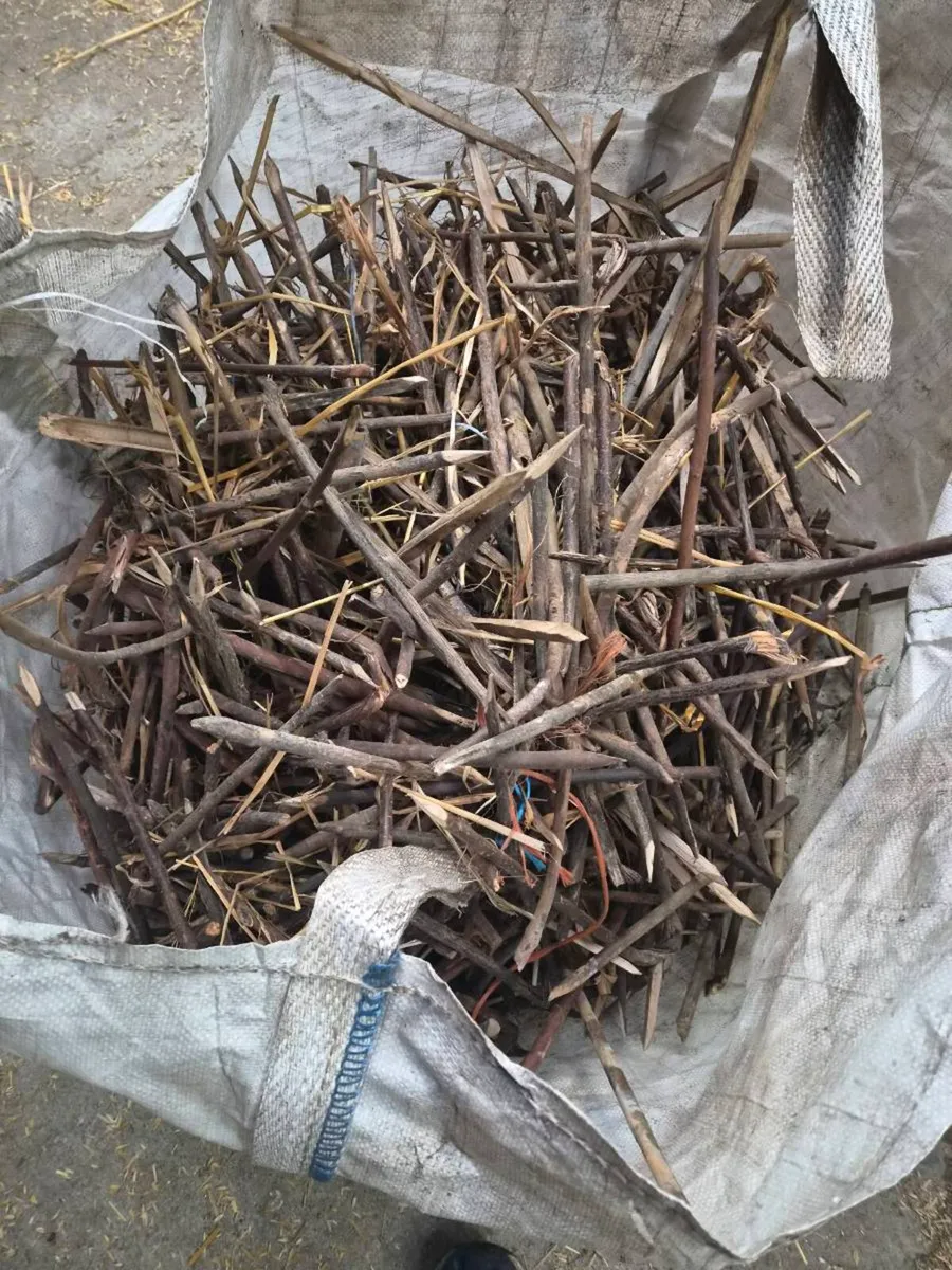 Kindling for winter - Image 1