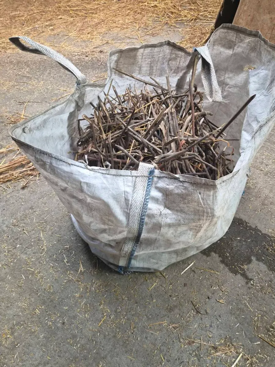 Kindling for winter - Image 2